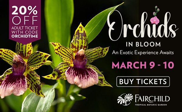 Orchids in Bloom at Fairchild Tropical Botanic Garden