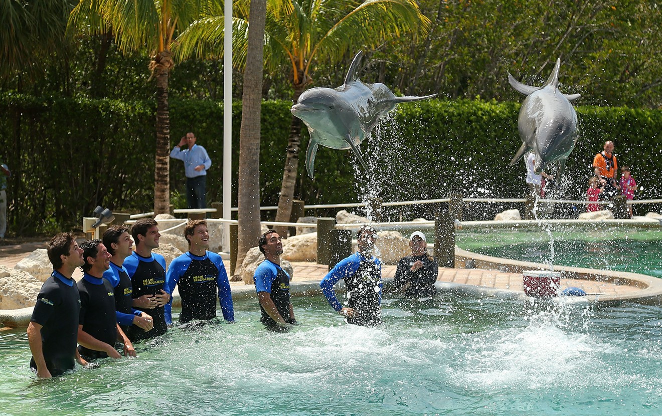 Dolphins perform for tennis stars at the Seaquarium prior to the 2014 Sony Open.
